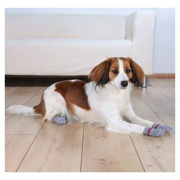 Trixie Hundesocken - Grau - XS-S – Bild 3