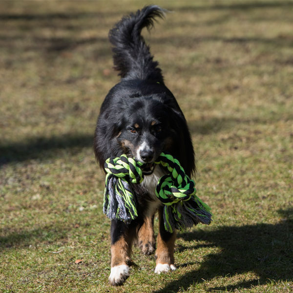 PROCYON XXL-Kauseil - 3 Knoten / 75 cm – Bild 5