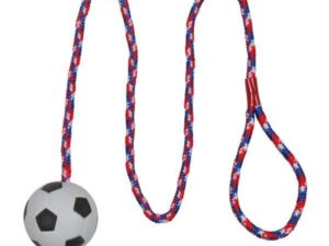 Trixie Moosgummiball am Seil - 6 cm / 1 m