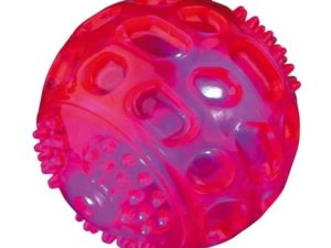 Trixie Blink-Ball aus TPR - 6 cm