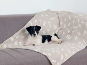 Trixie Decke Kenny - Beige - 150 × 100 cm