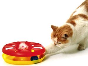 Karlie Kitty ROUND ABOUT Spielzeug - 24 cm
