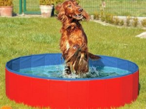 Karlie DOGGY POOL der Swimmingpool für Hunde - Rot-Blau - 160 cm