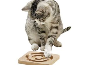 Karlie Kitty Brain Train Roundabout