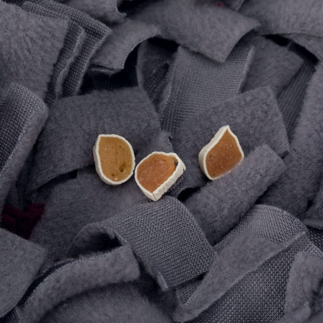 Trixie Schnüffelteppich Strategie-Spiel – Bild 5