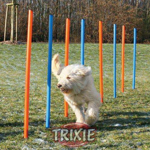 Trixie Agility Slalom – Bild 3