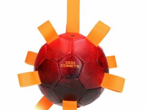 Dog Comets Ball Hypernova - Orange