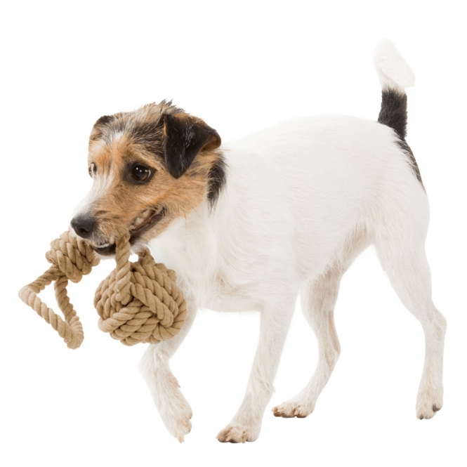 Trixie BE NORDIC Spieltau mit eingeflochtenem Ball - ø 8/30 cm – Bild 6