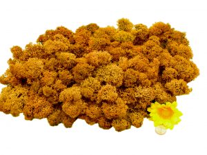 Muwse Islandmoos Melonengelb 100 g Maßstab Spur 1 Modellbau