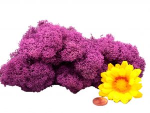 Muwse Islandmoos Viola 25 g Maßstab Spur 1 Modellbau