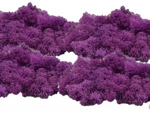 Muwse Islandmoos Viola 100 g händisch gerupft Osternest Weihnachtskrippe