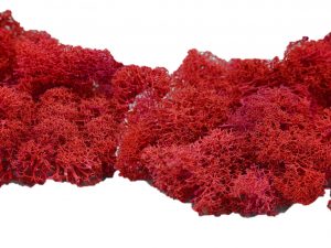 Muwse Islandmoos Mohnrot 50 g händisch gerupft Osternest Weihnachtskrippe