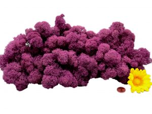 Muwse Islandmoos Viola 100 g Maßstab Spur G Modellbau