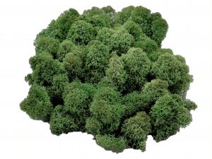 Muwse Islandmoos Tannengrün 50 g Maßstab Spur G Modellbau