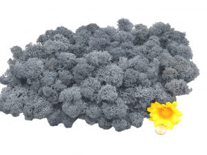 Muwse Islandmoos Titangrau 100 g Maßstab Spur 0 Modellbau