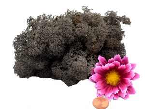 Muwse Islandmoos Dunkelgrau 10 g Maßstab Spur 0 Modellbau