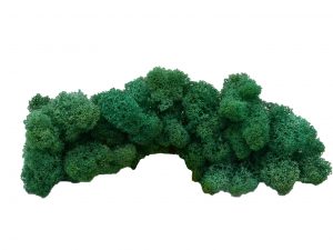 Muwse Islandmoos Kieferngrün 50 g Maßstab Spur 0 Modellbau