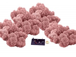 Muwse Islandmoos Rosa 100 g Maßstab Spur TT Modellbau