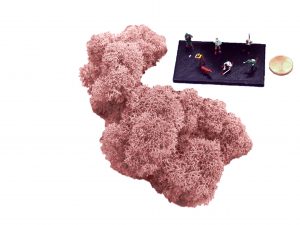 Muwse Islandmoos Rosa 10 g Maßstab Spur TT Modellbau