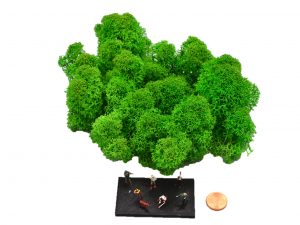Muwse Islandmoos Grasgrün 25 g Maßstab Spur TT Modellbau