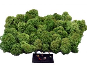 Muwse Islandmoos Tannengrün 50 g Maßstab Spur TT Modellbau