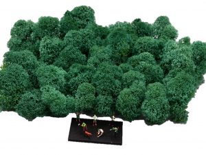 Muwse Islandmoos Kieferngrün 50 g Maßstab Spur TT Modellbau