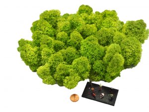 Muwse Islandmoos Frühlingsgrün 50 g Maßstab Spur TT Modellbau