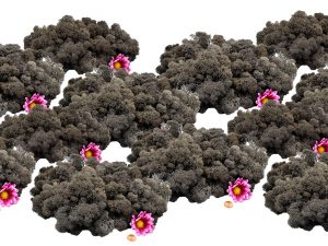 Muwse Islandmoos Dunkelgrau 1000 g Basteln Wandbilder Dekoration Gestalten