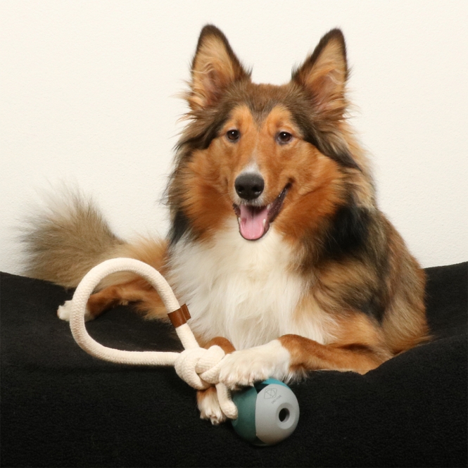 D&D Hundespielzeug Nora - lagoon – Bild 5