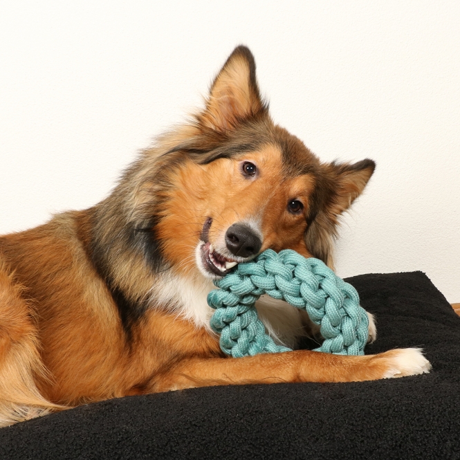 D&D Baumwollring Ben - blau - 13 x 13 x 4,5cm – Bild 6