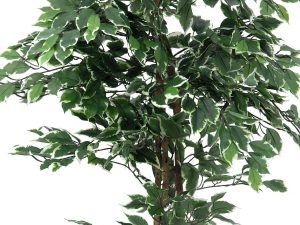 EUROPALMS Silberficus-Benjamini, Kunstpflanze,  180cm