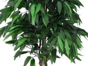EUROPALMS Dschungelbaum Mango, Kunstpflanze, 180cm