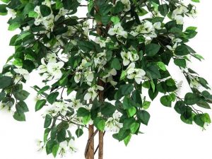 EUROPALMS Bougainvillea, Kunstpflanze, weiß, 180cm