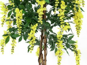 EUROPALMS Goldregenbaum, Kunstpflanze, gelb, 180cm