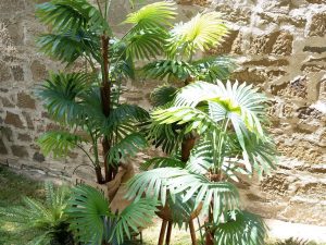 EUROPALMS Fächerpalme, Kunstpflanze, 130cm