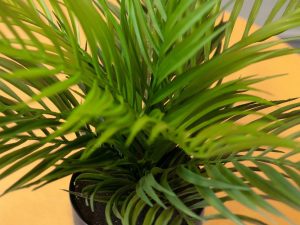 EUROPALMS Goldfruchtpalme, Kunstpflanze, 46 cm