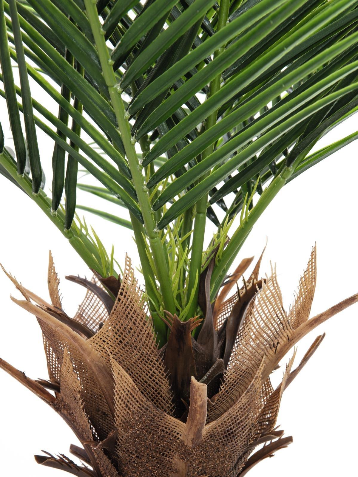 EUROPALMS Phönix Palme deluxe, Kunstpflanze 220cm