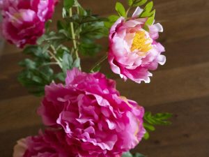 EUROPALMS Pfingstrose, rosé, Kunstpflanze, 90cm