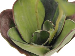 EUROPALMS Seerose (EVA), Kunstpflanze,geschlossen, grün, 45cm