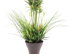 EUROPALMS Grasarrangement, künstlich, 90cm