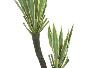 EUROPALMS Orchideen-Kaktus, Kunstpflanze, 160cm