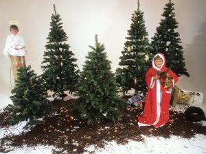 EUROPALMS Tannenbaum, 210cm