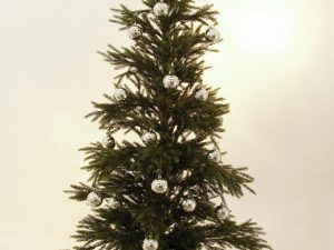 EUROPALMS Dekokugel 7cm, silber 6x