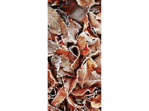 Banner Dexter 90x180cm