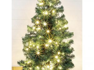 HI LED Lichterkette 50 LED IP44