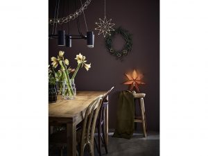 MARKSLÖJD Hängestern 'Embla'