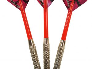 Roleo Steeldartpfeile R-4 17g