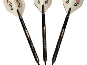 Roleo Steeldartpfeile Professional 24g