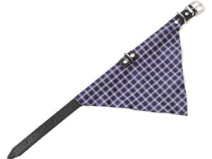 Karlie KOLIBRI Halsband - Blau - 20 mm, 57 cm