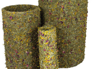 JR Frühlings-Rolle mittel 430g